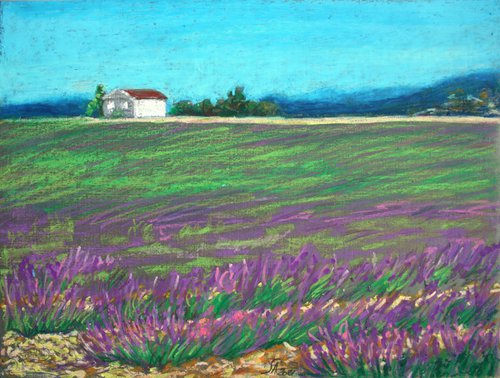 Lavender fields... /  ORIGINAL PAINTING by Salana Art Gallery