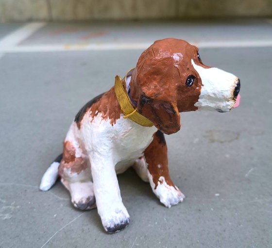 Head Turning Beagle