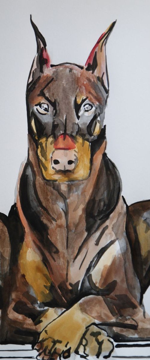 Doberman by Alexandra Djokic