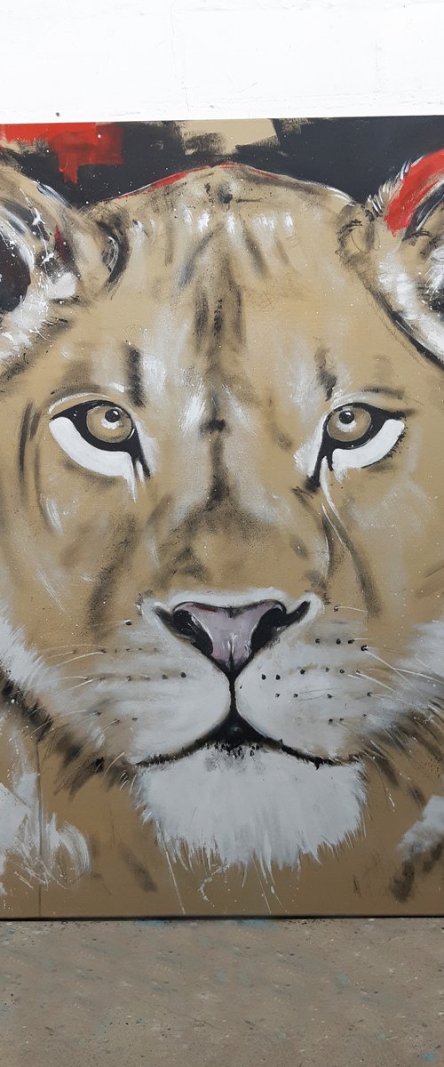 Big Cat - Lioness #6 - Series One of the big five by Stefanie Rogge