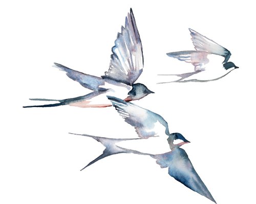 Swallows in Flight No. 24 by Elizabeth Becker