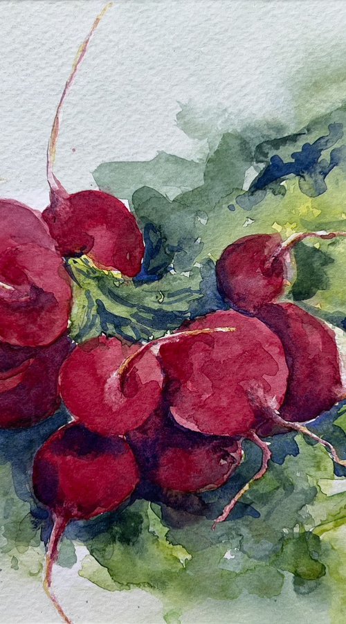Radishes by Krystyna Szczepanowski