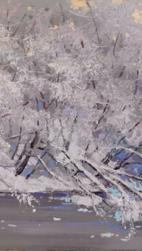 hoarfrost by Sergey  Kachin