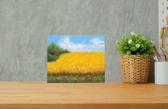 Wheat field  in summer