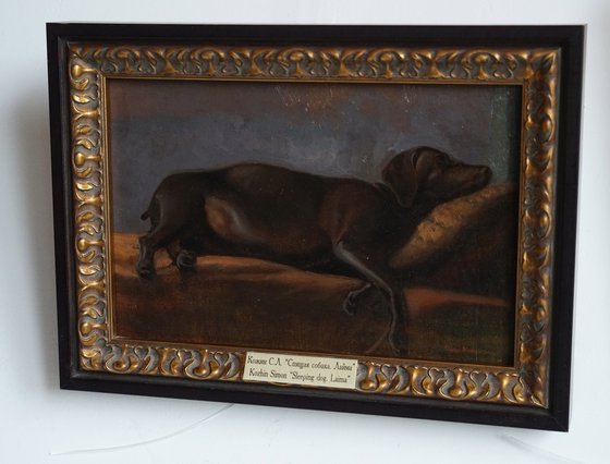 Sleeping dog. Laima