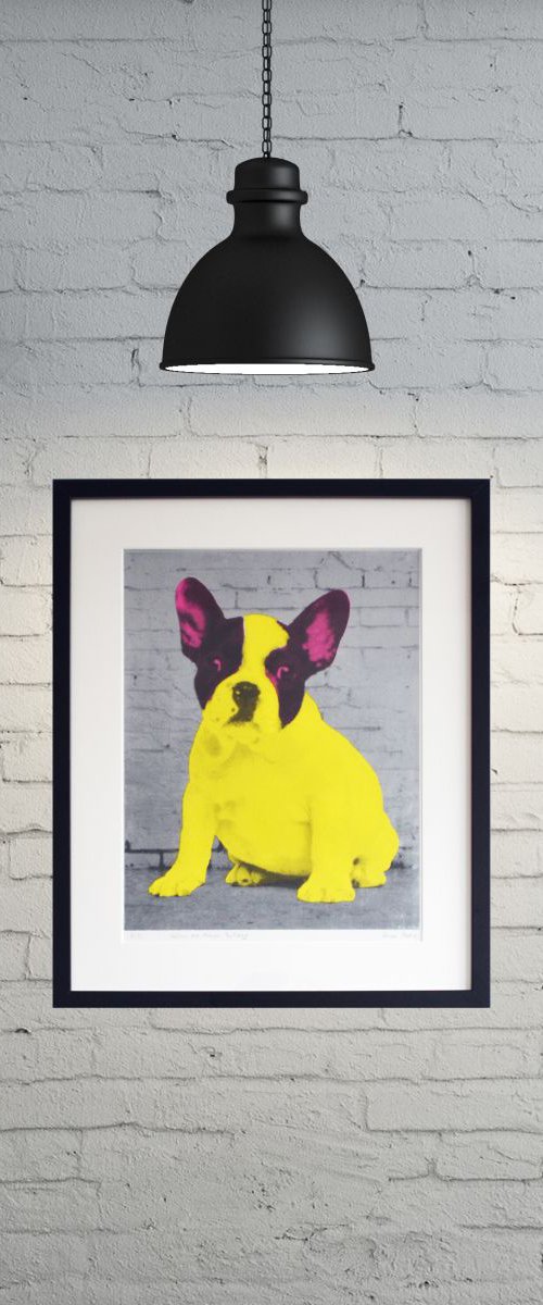 Pop Bulldog - Framed by Anne Storno