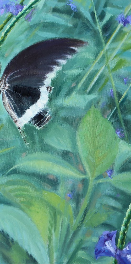 Black Butterfly by Tatiana Alekseeva