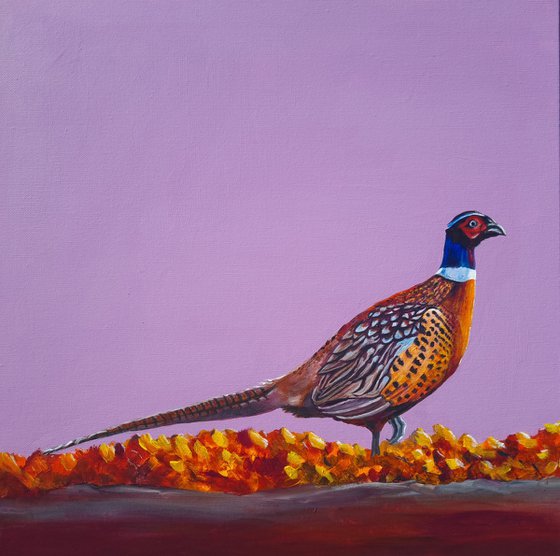 Autumnal Pheasant