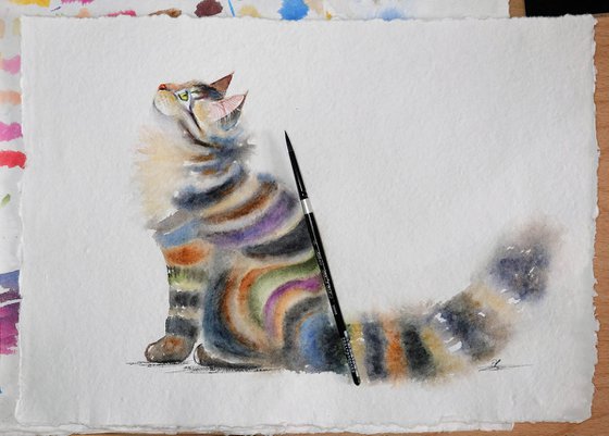 Miss Stripes - Tabby Cat