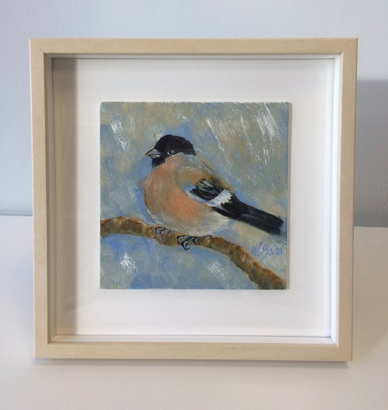 Bird framed oil painting - Bullfinch female small canvas - Gift idea for bird lover (2021)