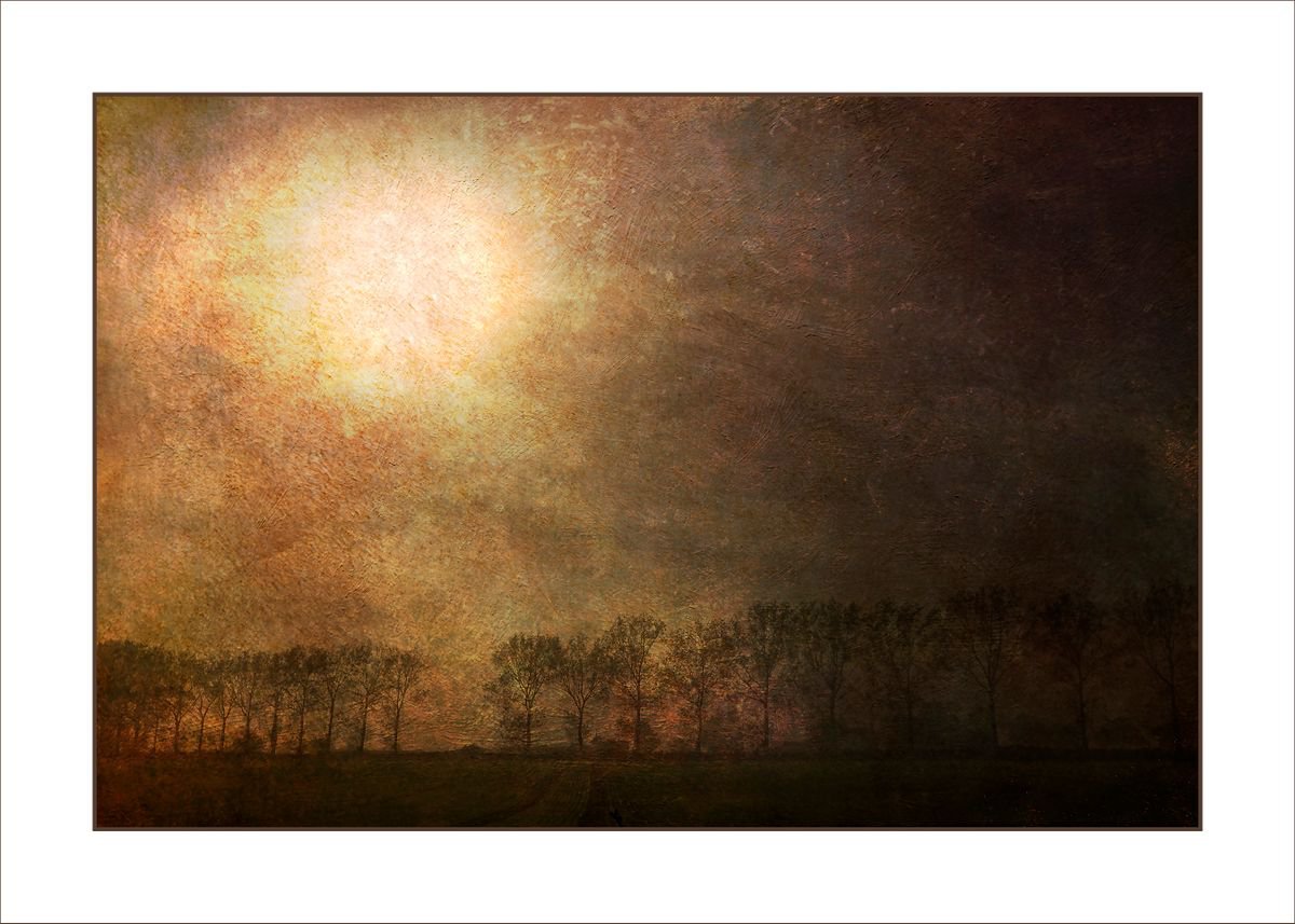 Treeline... by Martin  Fry