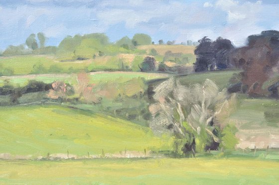 Spring in the Cotswolds, meadows