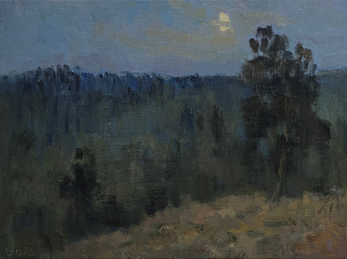 Impressionistic Landscape Oil Painting By Bohdan Dobrivskyi, 16 X 12, Cloudy Night, Original Artwork