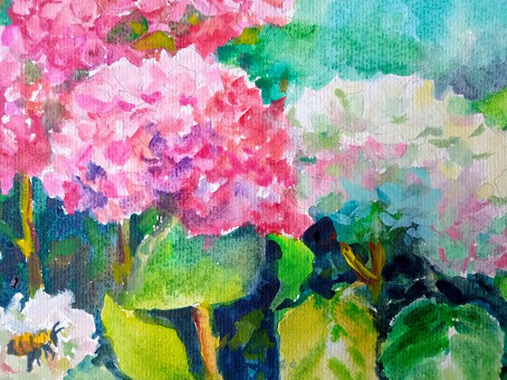 Hydrangeas flowers