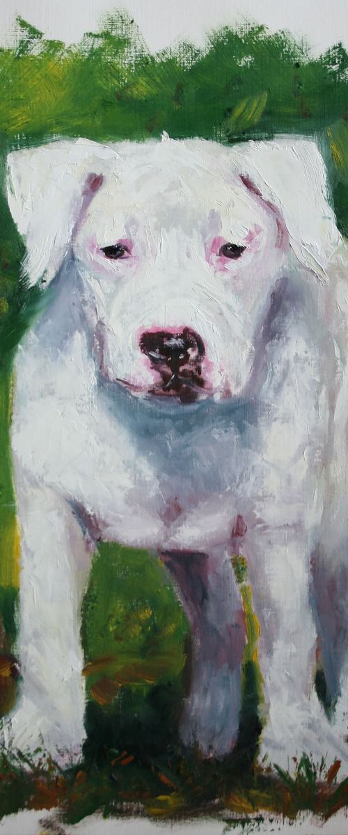 Puppy /  ORIGINAL PAINTING by Salana Art Gallery