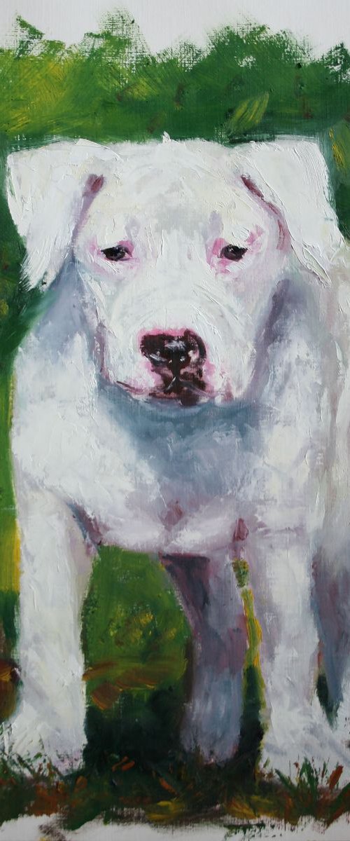 Puppy /  ORIGINAL PAINTING by Salana Art / Svetlana Samovarova