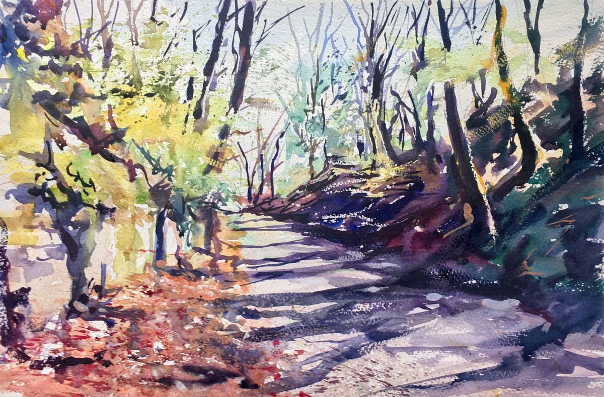 Haigh Hall by Anthony Barrow BA(Hons) Fine Art