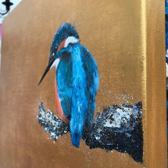 Kingfisher ~ On Gold