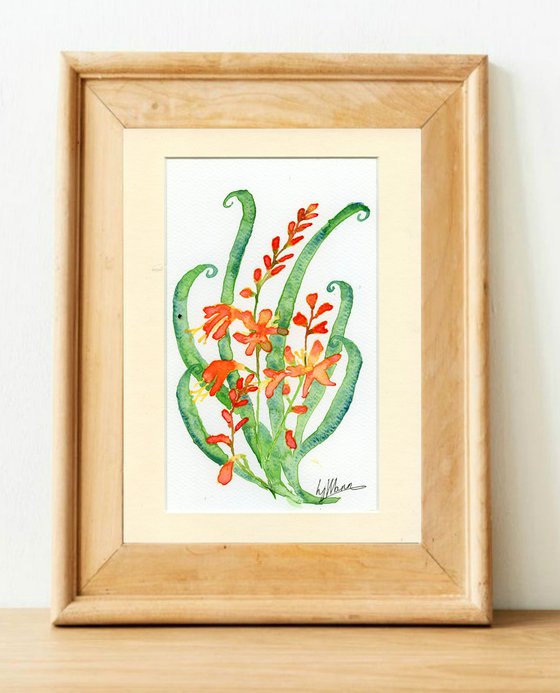 Crocosmia motif