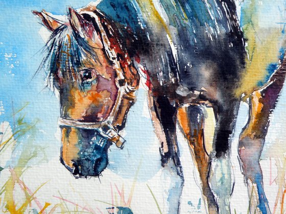 Horse