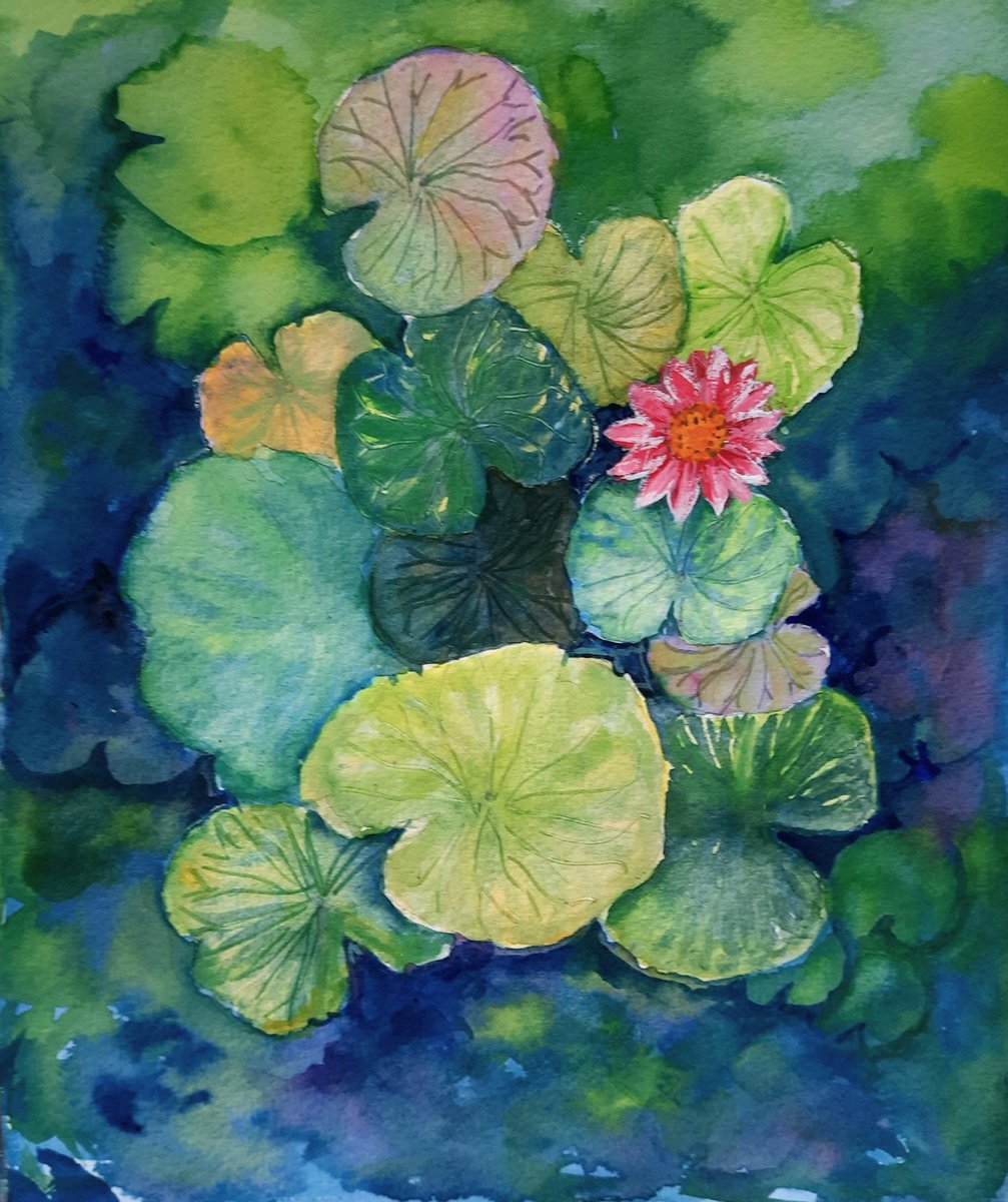 Impressionistic Watercolour , Lotus Pond With Water Lilies By Asha Shenoy, 10 X 12, Artwork For Sale On Artfinder