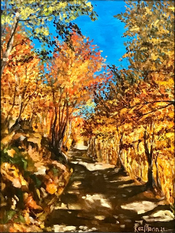 Autumn In Montenegro