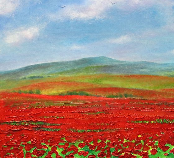 Fields In Bloom