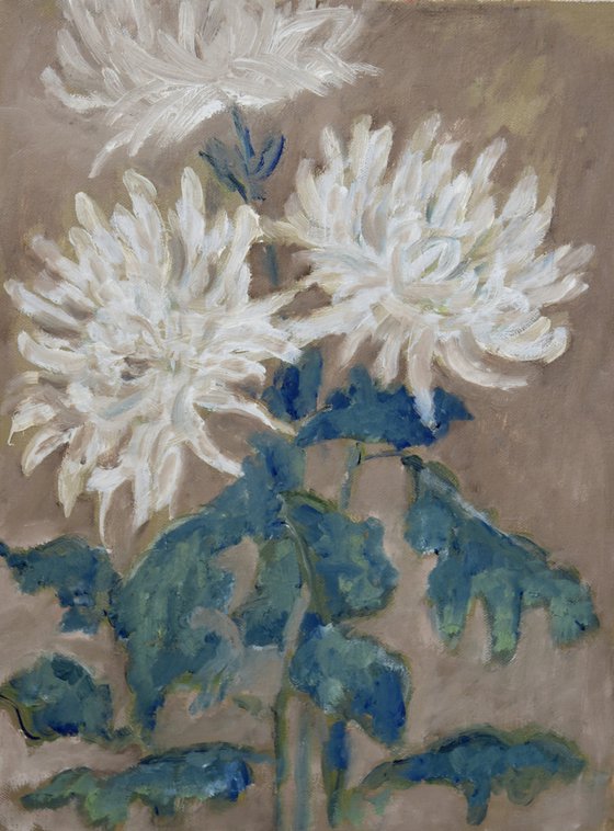 Chrysanthemums