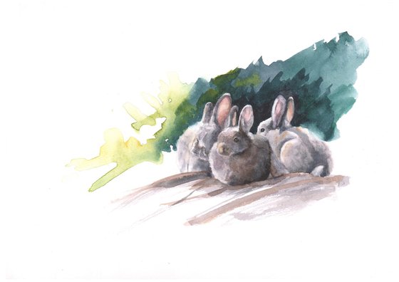 Rabbits at Rest