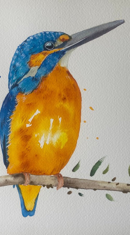 Kingfisher watercolour painting by Bethany Taylor