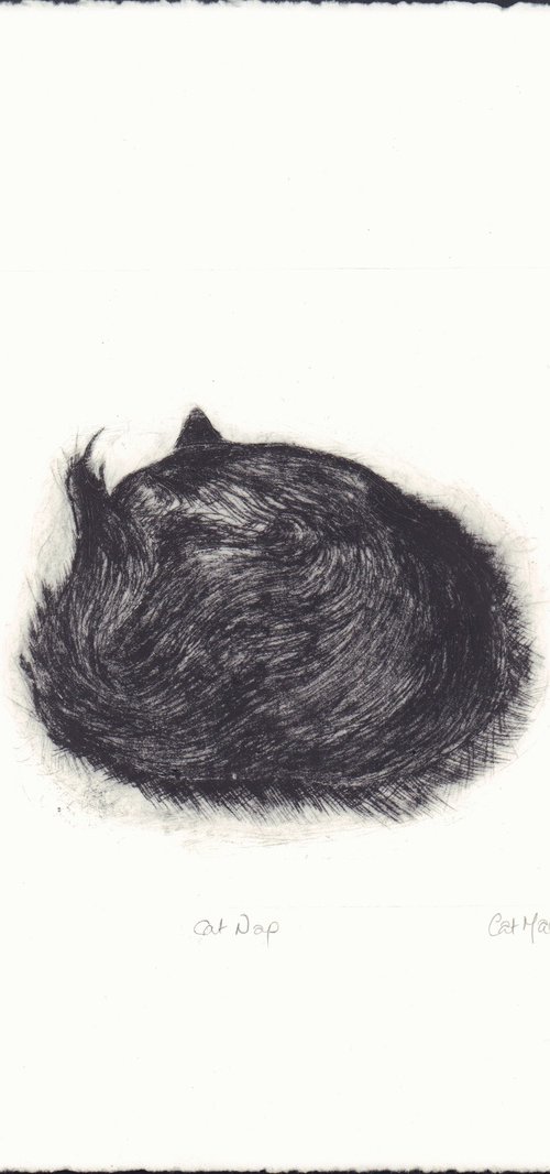 Cat Nap by Cat Maclean