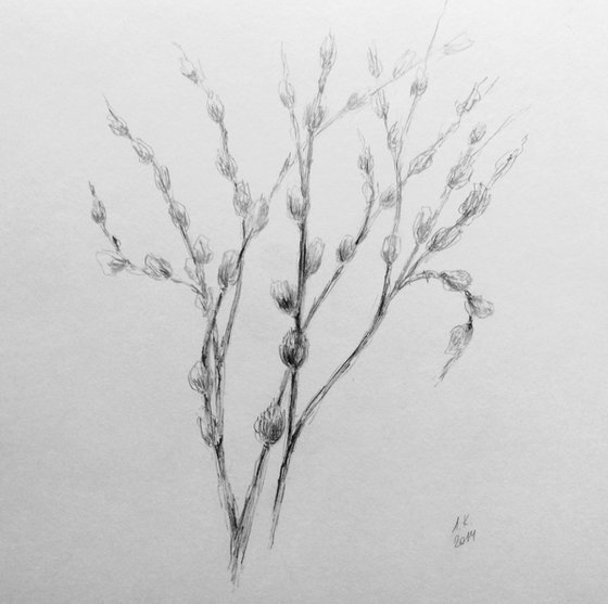 Spring Awakening.Sketch. Original pencil drawing.