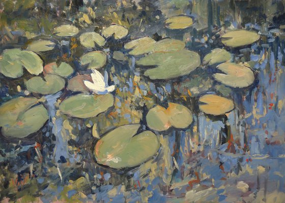 Water lilies III