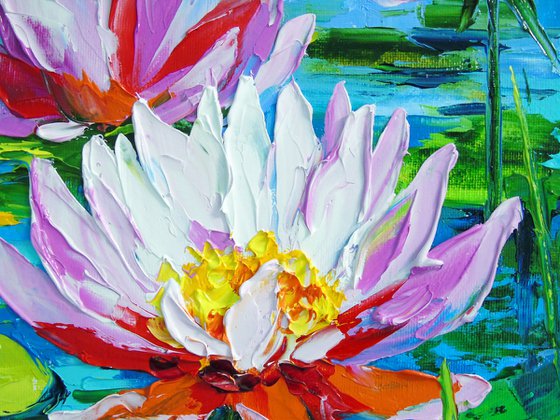 Water Lilies