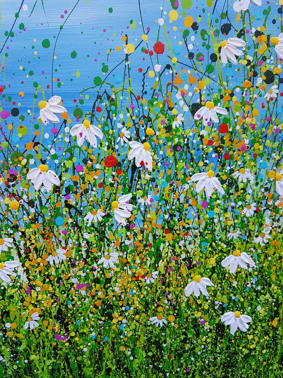 Delightful Daisy Meadows