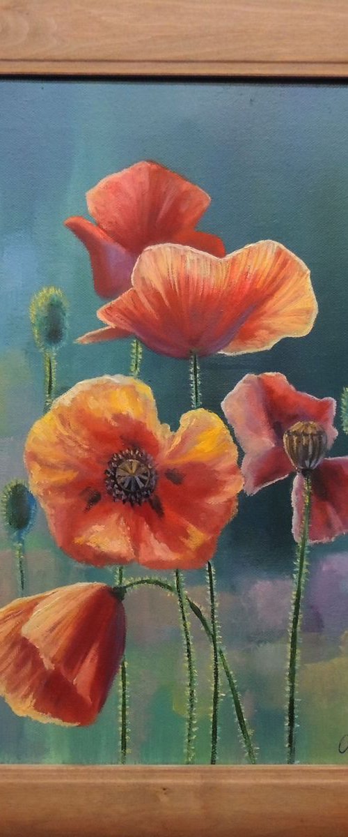 Cheerful Poppies by Oleg Riabchuk