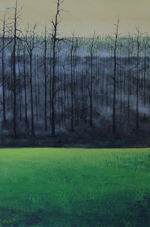 Misty Forest by Serguei Borodouline