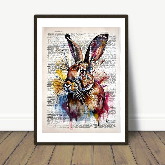 Colorful Rabbit