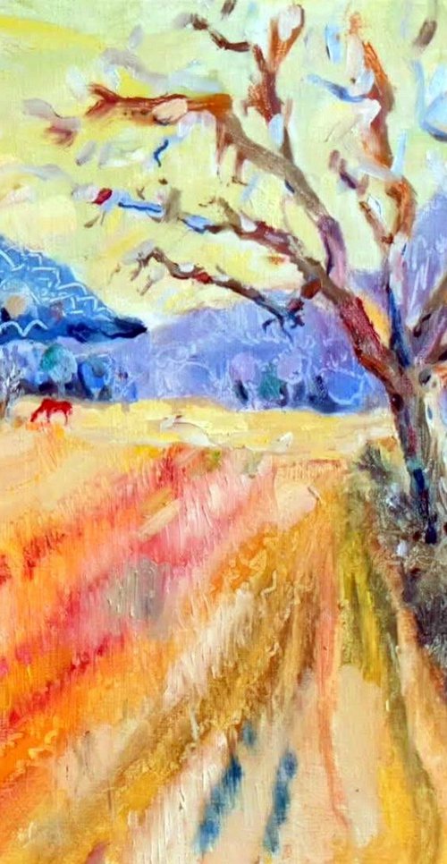 Vincent's Furrow by Chris Walker