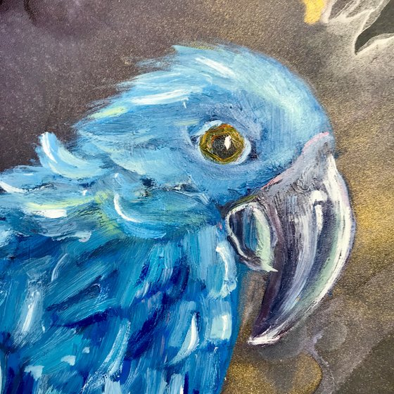 Blue parrots
