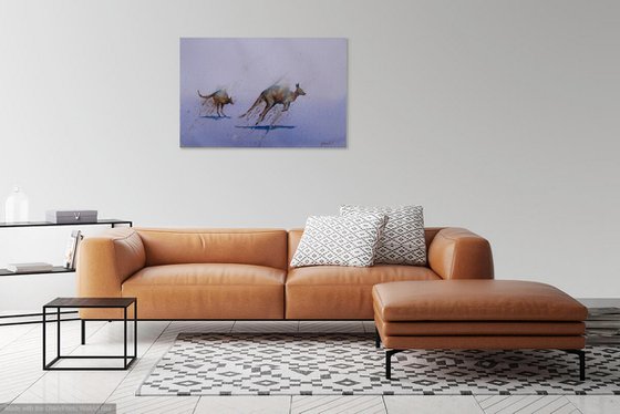 Kangaroos