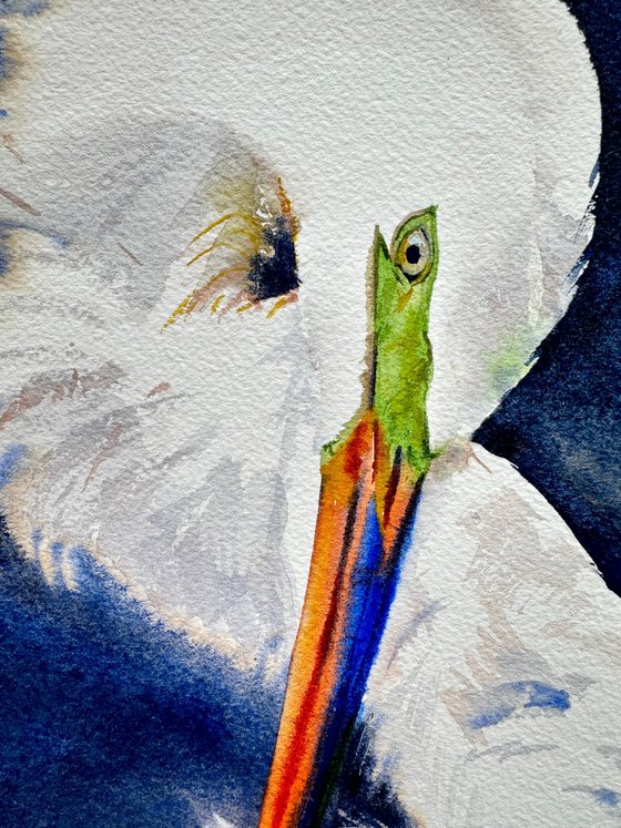 Birds: White Heron and Anhinga