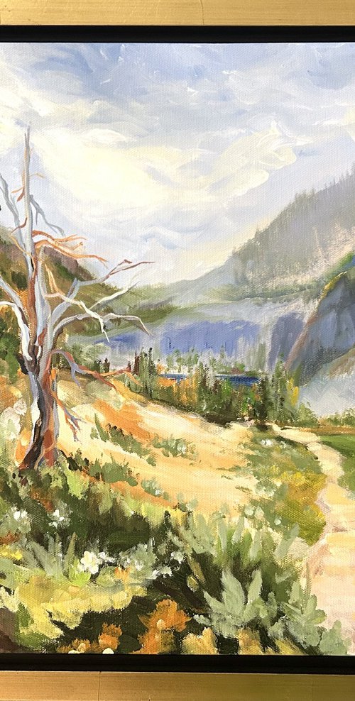 Sierra Mountain Trail by Annette Wolters