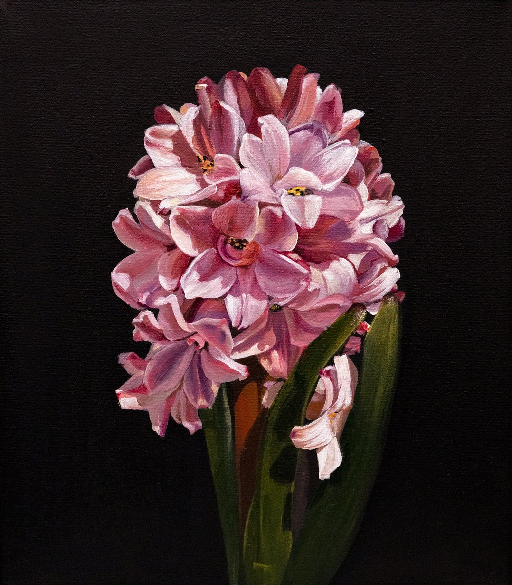 Photorealistic Botanical Acrylic Painting By Sonata Art, 12 X 14", Hyacinth Spring Art With Black Background, Original Artwork