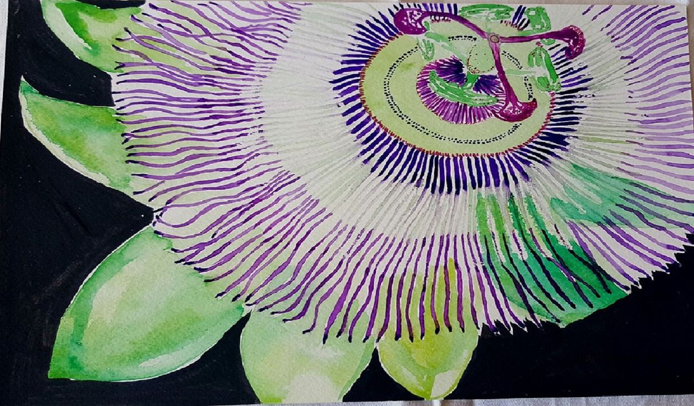 Blue Passion Flower Watercolour By Jyoti Kumar Artfinder
