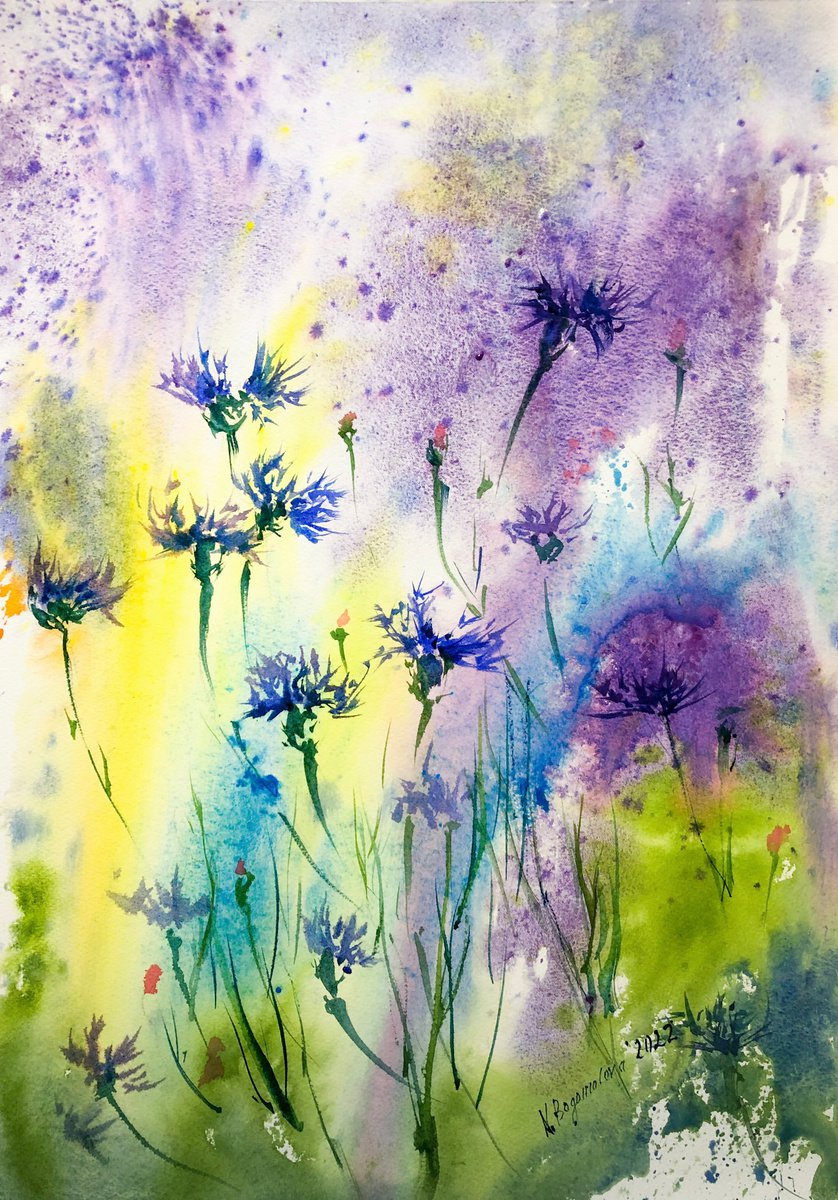 CORNFLOWERS BLOOM - summer wildflowers watercolour painting by Nadezhda Bogomolova