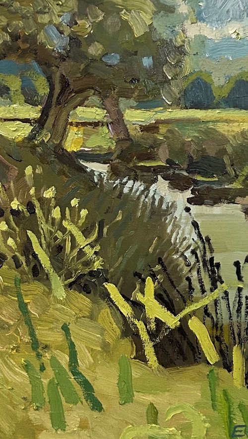 Beverley Brook Richmond Park by Emma Pilkington