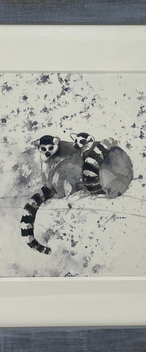 Ringtailed Lemurs by Hannah  Bruce