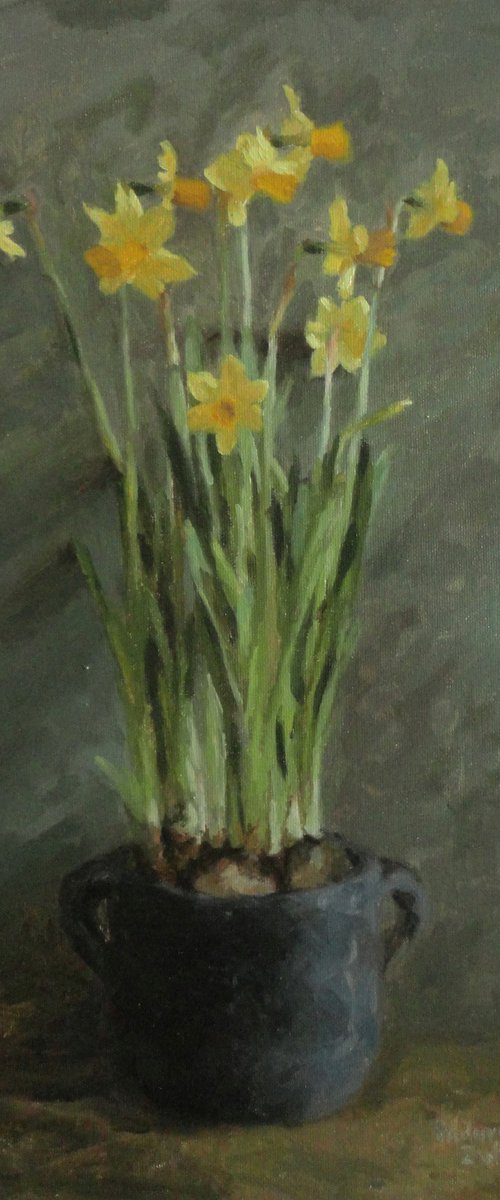 Narcissus by Radosveta Zhelyazkova