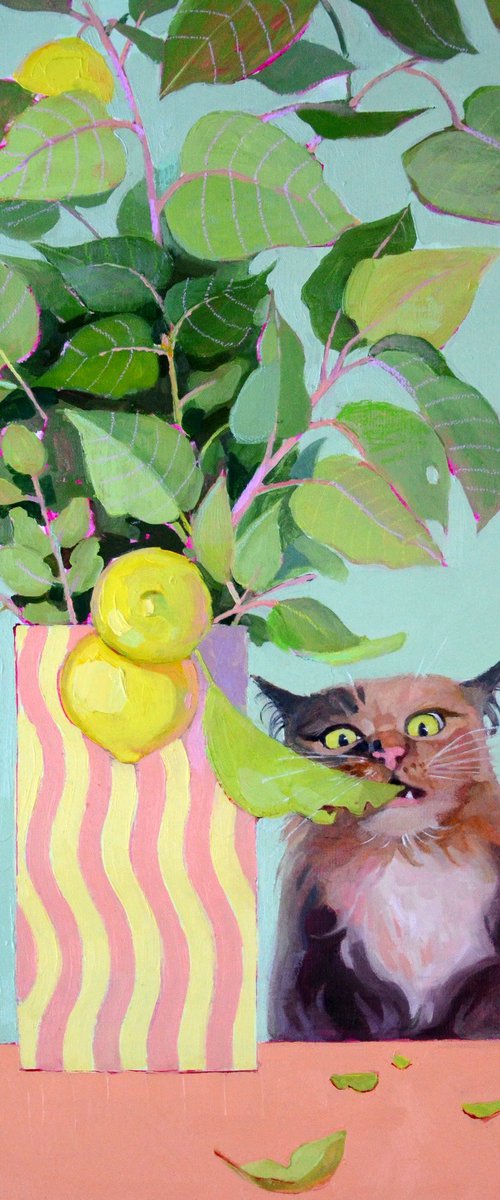 A cat named lemon by Alexandra Sergeeva